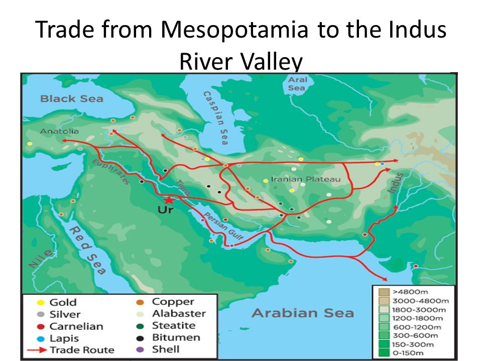 A comparison of indus valley and mesopotamia